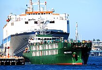 NINE EAGLE — Specialized Cargo Ship, PANAMA flag, built 2006