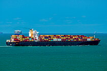MSC ANTONIA