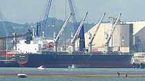 TAWA ARROW — Bulk Carrier, BAHAMAS flag, built 2008