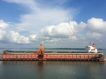 CORONA NATURE — Bulk Carrier, Panama flag, built 2009