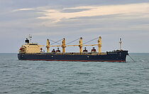 BALKAN DERIN FEYZA — Bulk Carrier, Barbados flag, built 2010