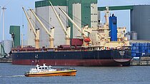 CEDAR — Bulk Carrier, Panama flag, built 2008