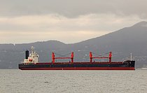 LUCKY PROSPERITY — Bulk Carrier, Hong Kong China flag, built 2008