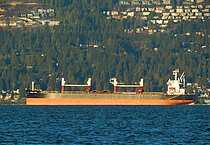 WAN XIANG — Bulk Carrier, MARSHALL ISLANDS flag, built 2010