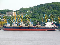 ANNA-ELISABETH — Bulk Carrier, Liberia flag, built 2008