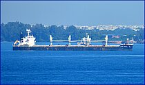 ELEEN ARMONIA — Bulk Carrier, Liberia flag, built 2008