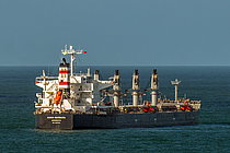ANNA-BARBARA — Bulk Carrier, Liberia flag, built 2008