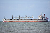 QUEEN BEE — Bulk Carrier, Bahamas flag, built 2008