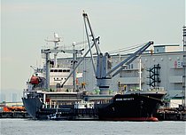 ASIAN INFINITY — General Cargo Ship, Marshall Islands flag, built 2010