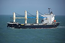 SUNNY MOLLY — General Cargo Ship, PANAMA flag, built 2008