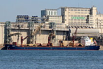THEO G — Bulk Carrier, TURKEY flag, built 2009