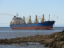 TYRON — Bulk Carrier, HONG KONG flag, built 2010