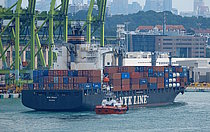 NYK PAULA — Container Ship, Panama flag, built 2009