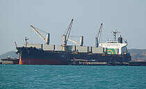 HARMONY GOLD — Bulk Carrier, Republic of Panama flag, built 2010