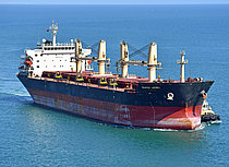 WOOYANG HERMES — Bulk Carrier, MARSHALL ISLANDS flag, built 2008