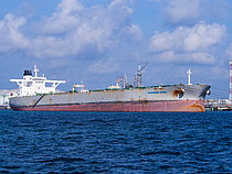 SEA LEOPARD — Oil And Chemical Tanker, MALTA flag, built 2011