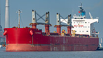 CALISTA STAR — Bulk Carrier, Bahamas flag, built 2010