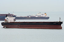 OCEAN ZENON — Bulk Carrier, MALTA flag, built 2007