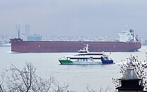PAREA — Bulk Carrier, MALTA flag, built 2012