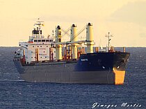 ROXETTE — Bulk Carrier, Barbados flag, built 2008