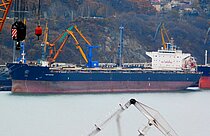 NEW FORTUNE — Bulk Carrier, Hong Kong China flag, built 2011
