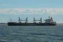 EGRET BULKER — Bulk Carrier, MARSHALL ISLANDS flag, built 2010