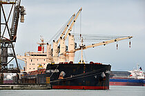 GANNET BULKER — Bulk Carrier, Marshall Islands flag, built 2010
