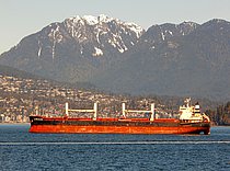 GREBE BULKER — Bulk Carrier, MARSHALL ISLANDS flag, built 2010