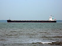 OCEAN VENUS — Bulk Carrier, MARSHALL ISLANDS flag, built 2010