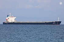 GENEVE — Bulk Carrier, MARSHALL ISLANDS flag, built 2008