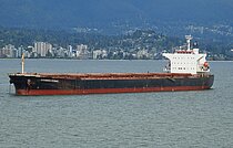 CHANG SHENG HAI — Bulk Carrier, Republic of the Marshall Islands flag, built 2008