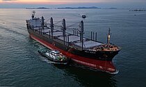 SKY GATE — Bulk Carrier, SAN MARINO flag, built 2008