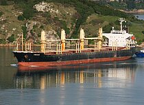 INASE — Bulk Carrier, ANTIGUA AND BARBUDA flag, built 2008