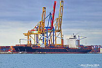 MSC PIONEER IV — Container Ship, Marshall Islands flag, built 2012