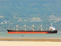 ELEGANT SW — Bulk Carrier, Panama flag, built 2011
