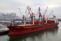 MERRY M — Bulk Carrier, Barbados flag, built 2010