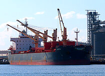 JUNIPER — Bulk Carrier, PORTUGAL (MAR) flag, built 2011
