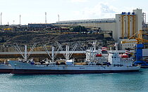 LADY TUNA — Specialized Cargo Ship, Panama flag, built 2007