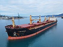 DAISY OCEAN — Bulk Carrier, Hong Kong China flag, built 2010