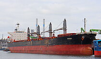 HINOKI — Bulk Carrier, LIBERIA flag, built 2008