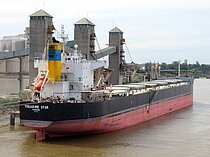 TREASURE STAR — Bulk Carrier, Panama flag, built 2010