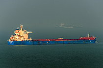 ALPHA DIGNITY