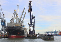BRIGHT SKY — General Cargo Ship, MARSHALL ISLANDS flag, built 2013