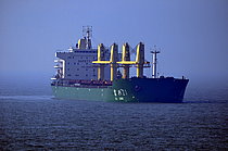 FU XING 21 — Bulk Carrier, CHINA flag, built 2011