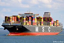 MSC FLAVIA
