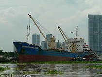 HOANG PHUONG STAR