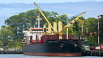 EVER FORTUNE — Bulk Carrier, PANAMA flag, built 2010