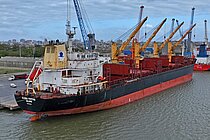 GLOBAL FORTUNE — Bulk Carrier, Marshall Islands flag, built 2011