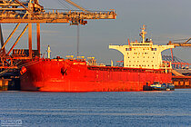 W TRADER — Bulk Carrier, CYPRUS flag, built 2009