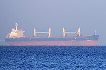 DIAMOND SEA — Bulk Carrier, Malta flag, built 2011